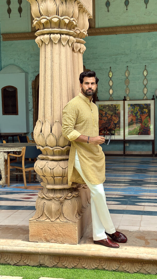 Beige chikankari kurta - Image 3
