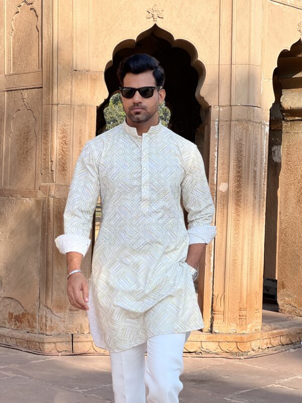 Pastel green chikankari kurta - Image 2